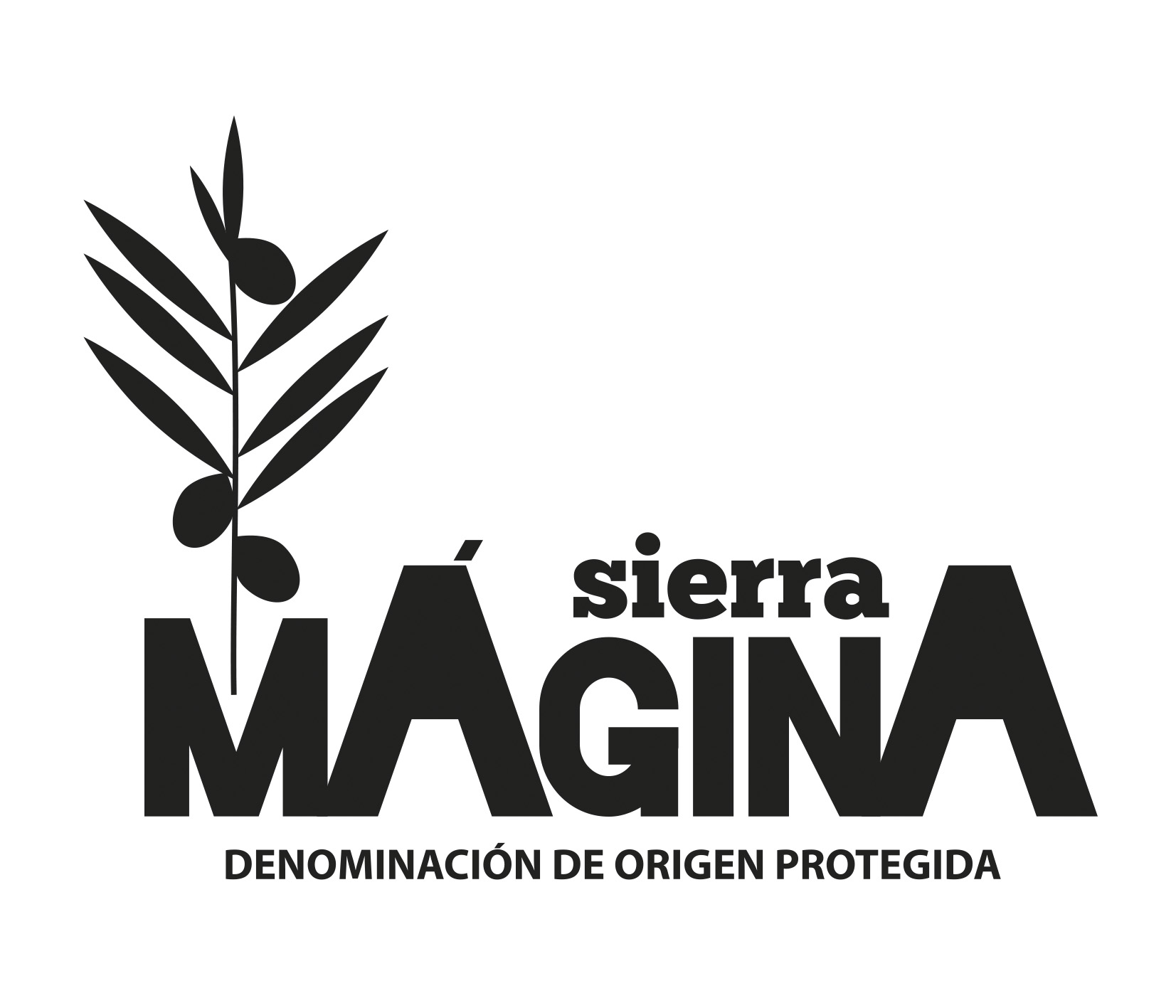 HORIZONTAL PROTEGIDA Logo